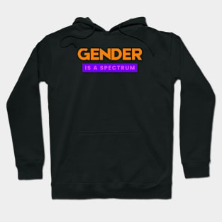 GENDER IS A SPECTRUM Hoodie